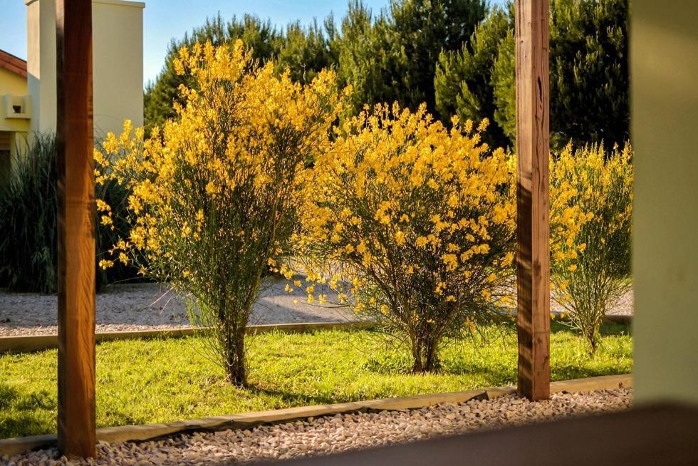 Villa Cabanas De Las Pinturas Sierra de la Ventana Exterior foto